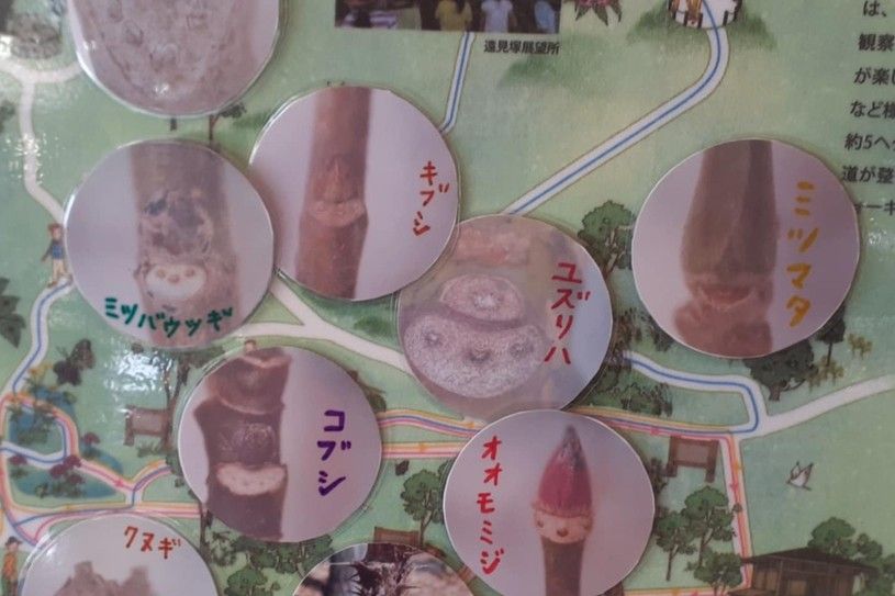 画像2