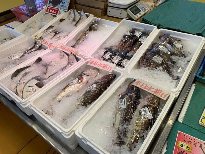 画像5