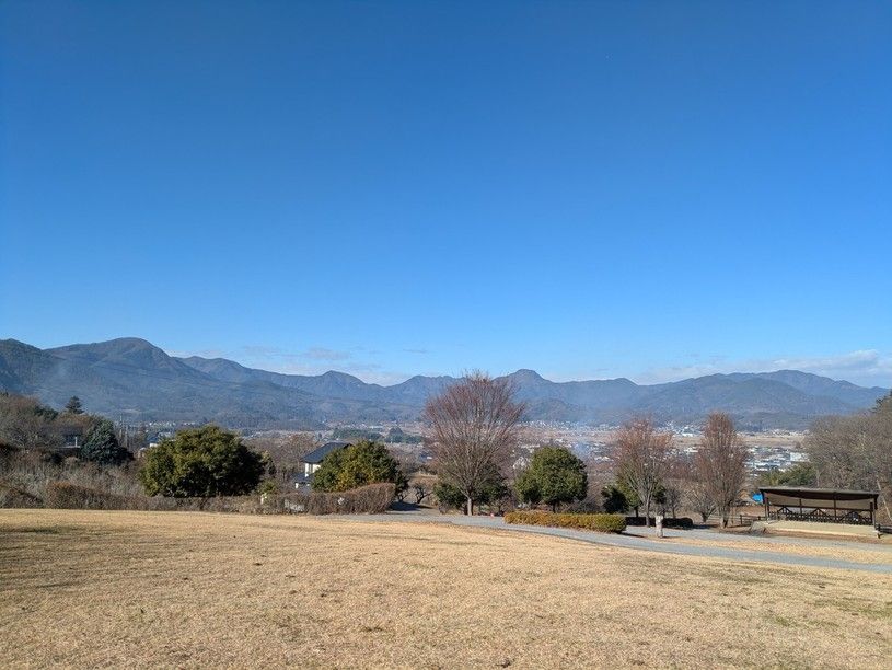 画像4