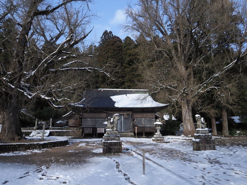 画像1