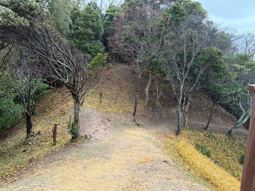 画像3