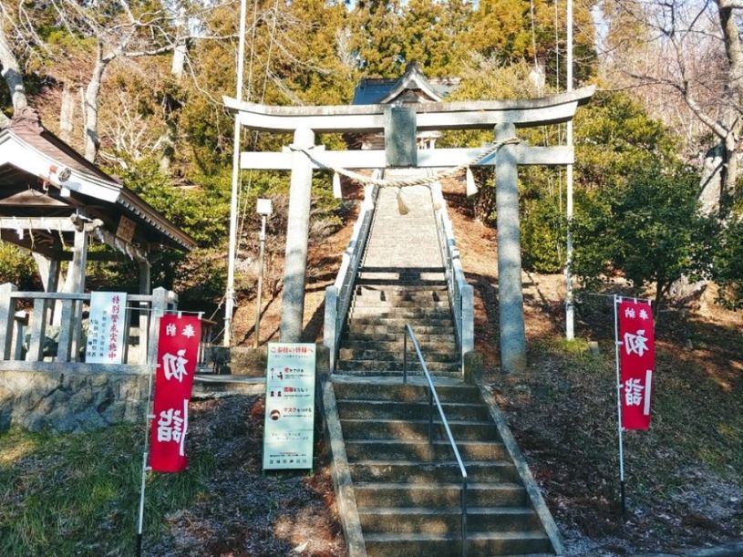 画像1