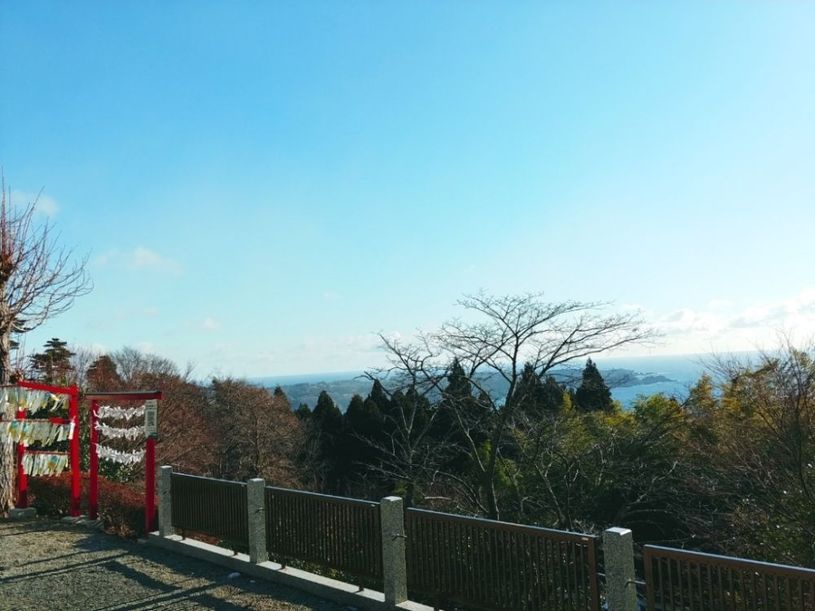 画像5