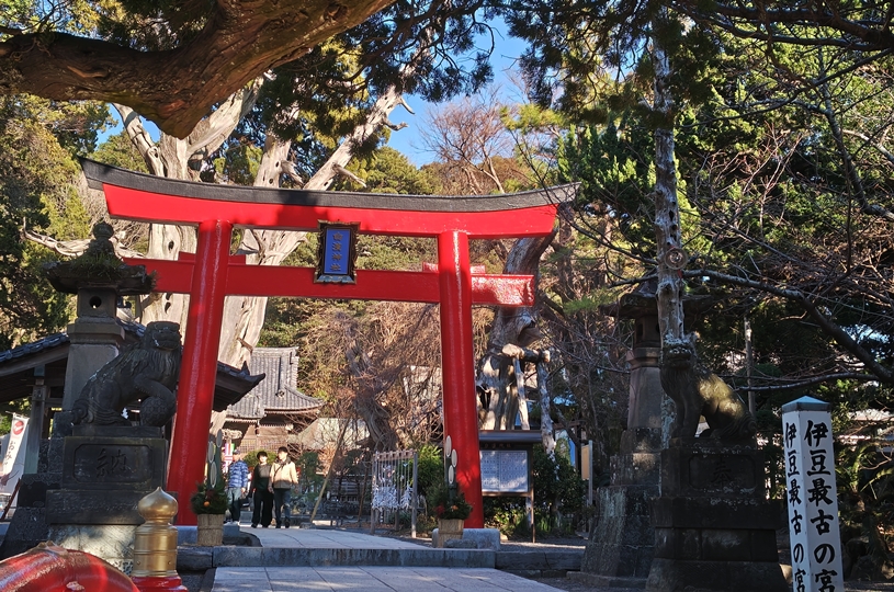 画像2