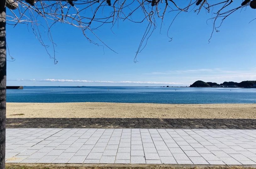 画像1