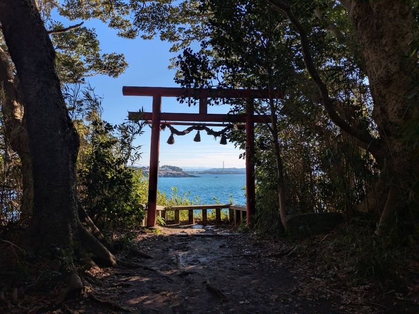 画像1