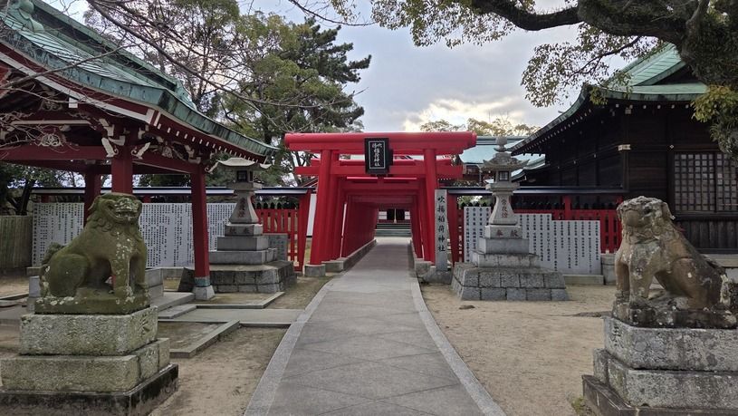 画像4