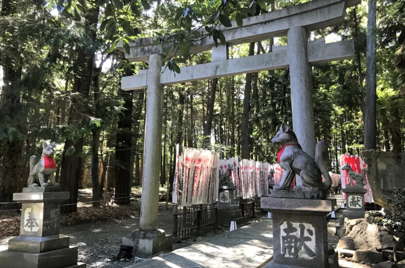 画像1