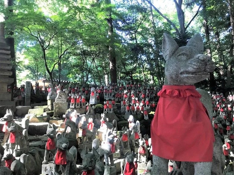 画像4