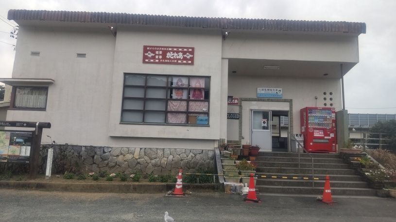 画像1