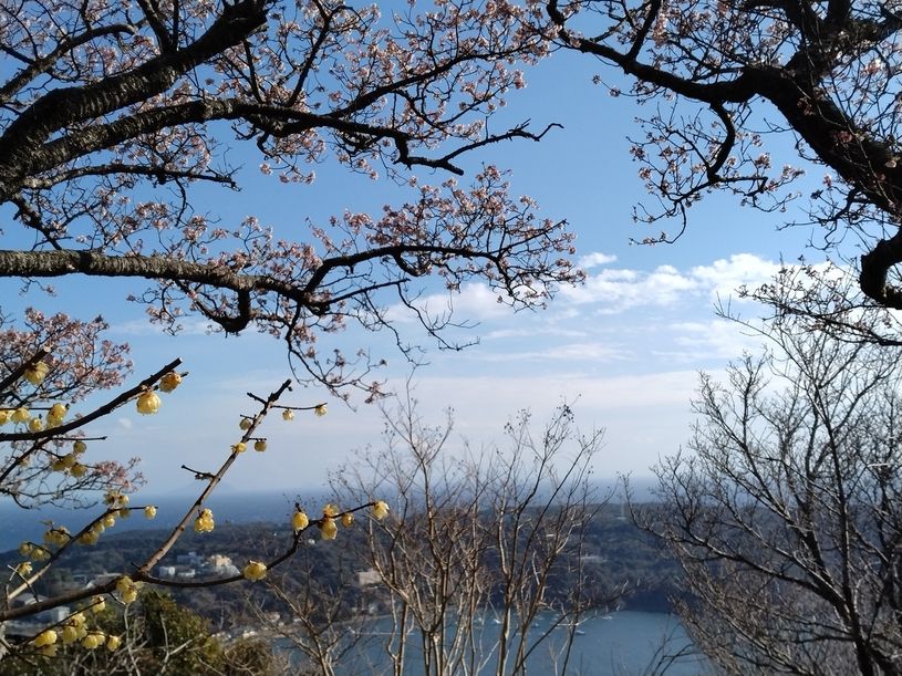 画像3