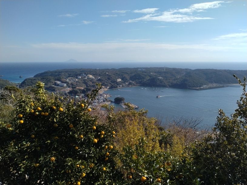 画像2