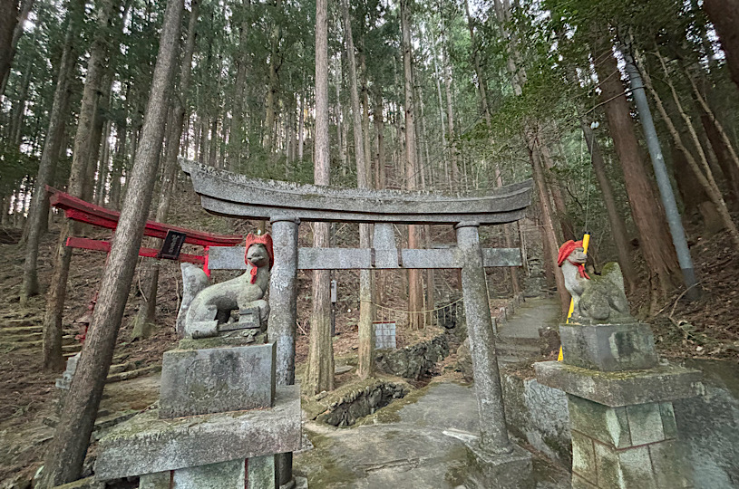 画像2