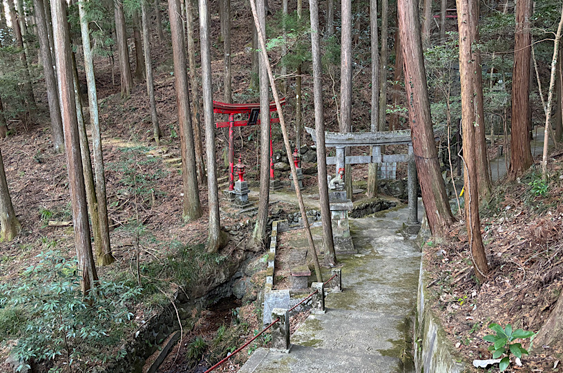 画像4