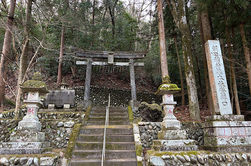 画像5