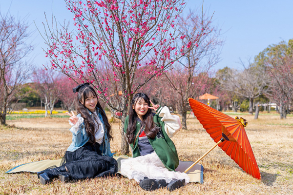 画像1