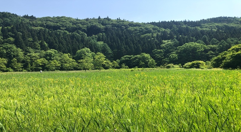 姫川源流・親海湿原（長野県白馬村）