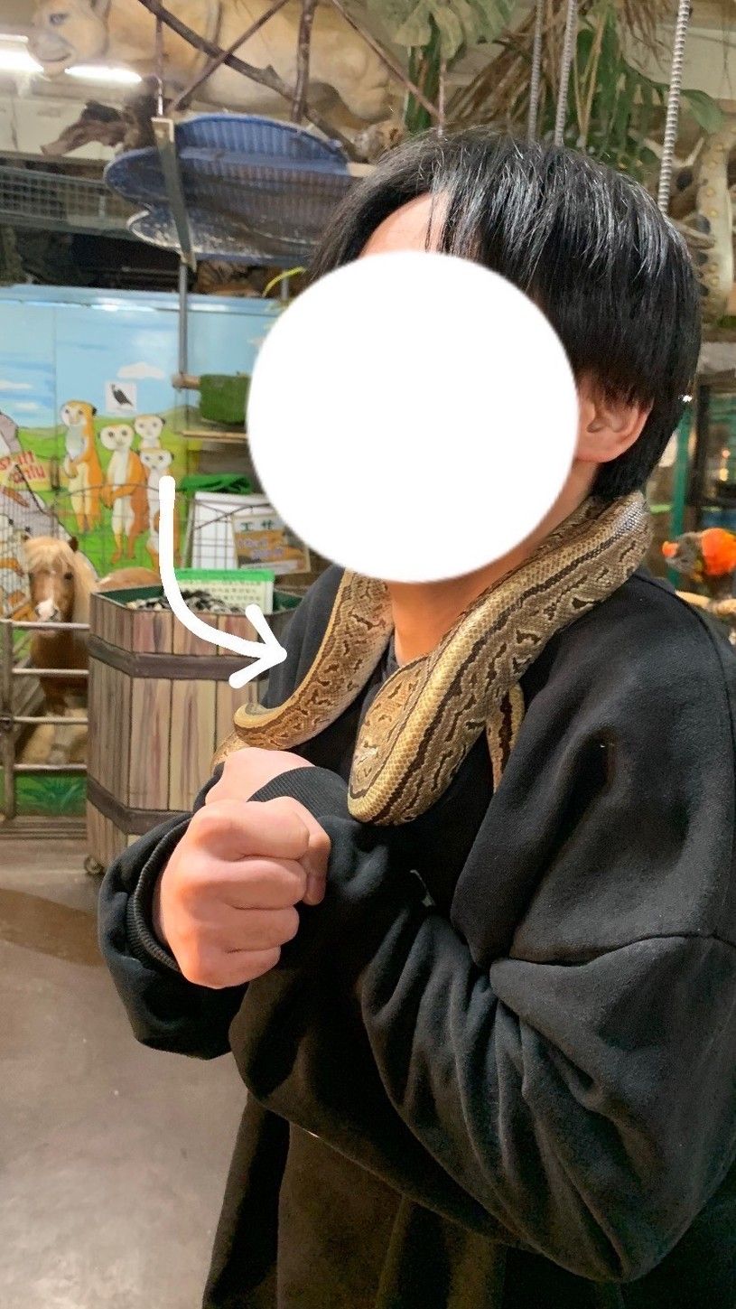 画像1