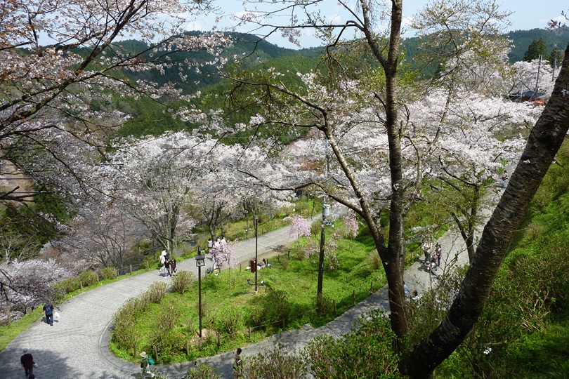 画像3