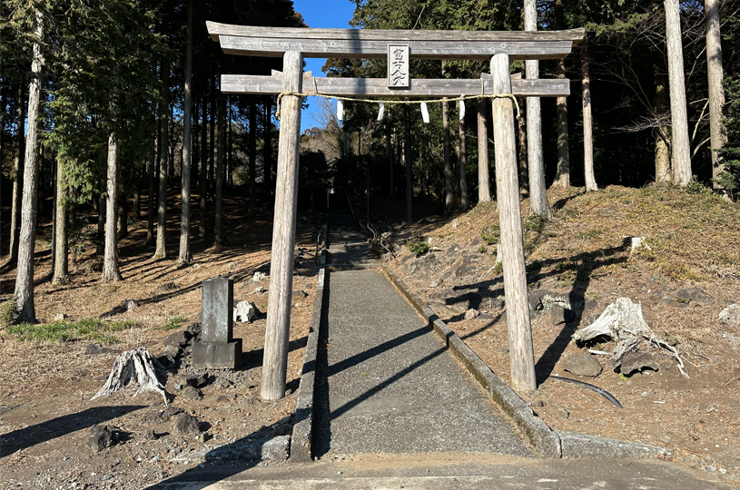 画像1