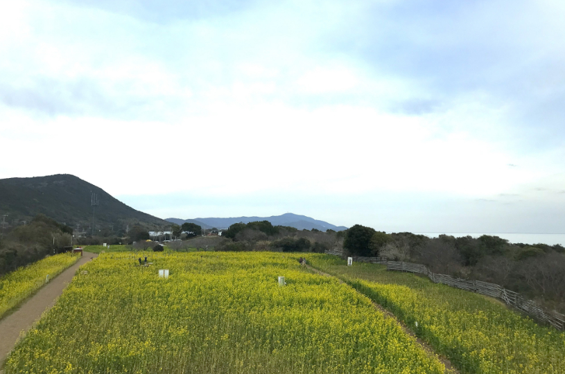 画像5