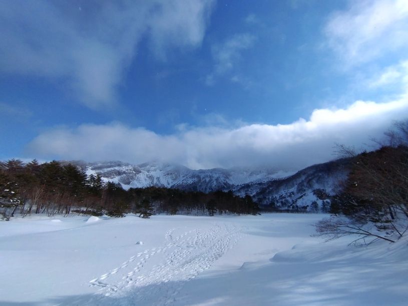 画像1