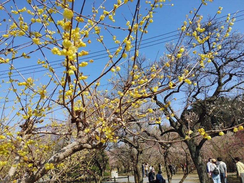 画像2
