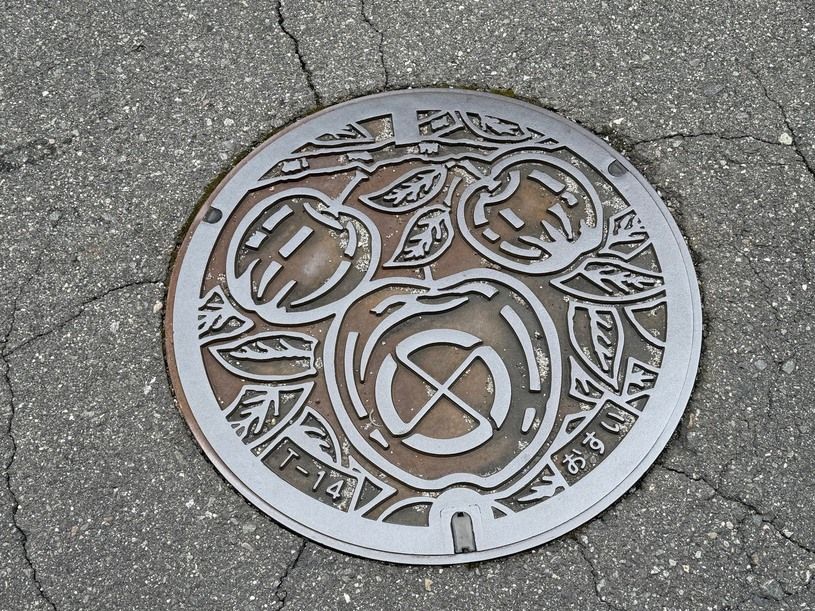 画像1