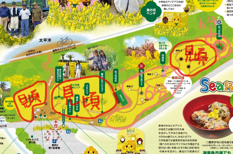 画像5