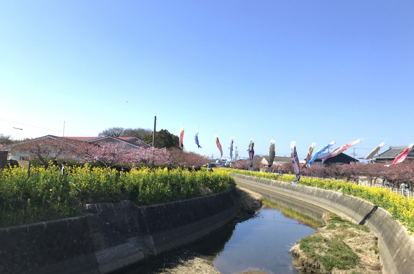 画像5