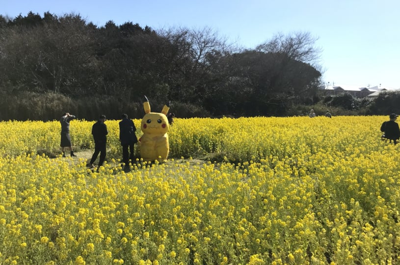 画像5