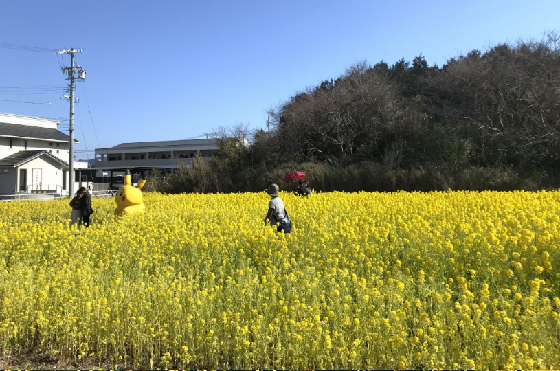 画像4
