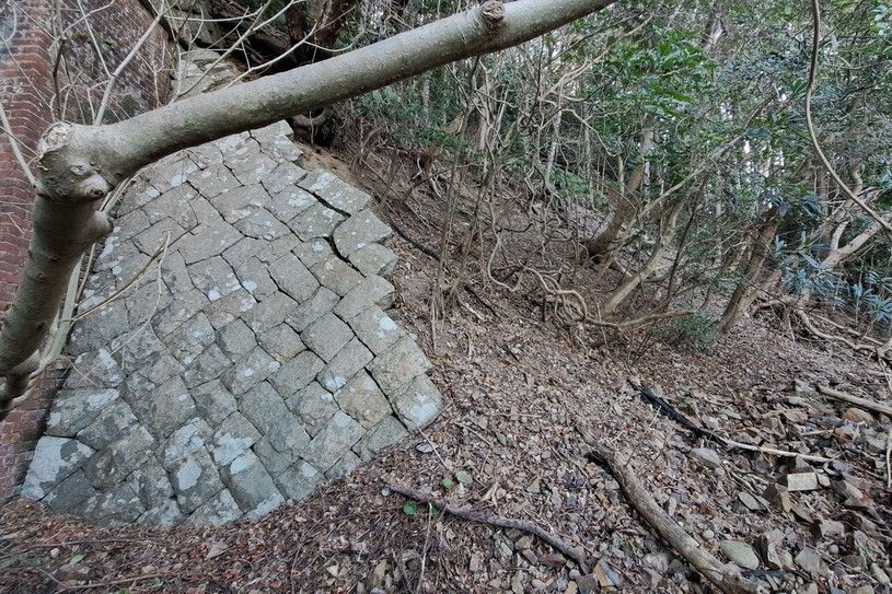 画像3