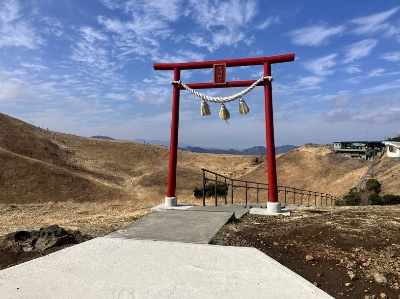 画像4