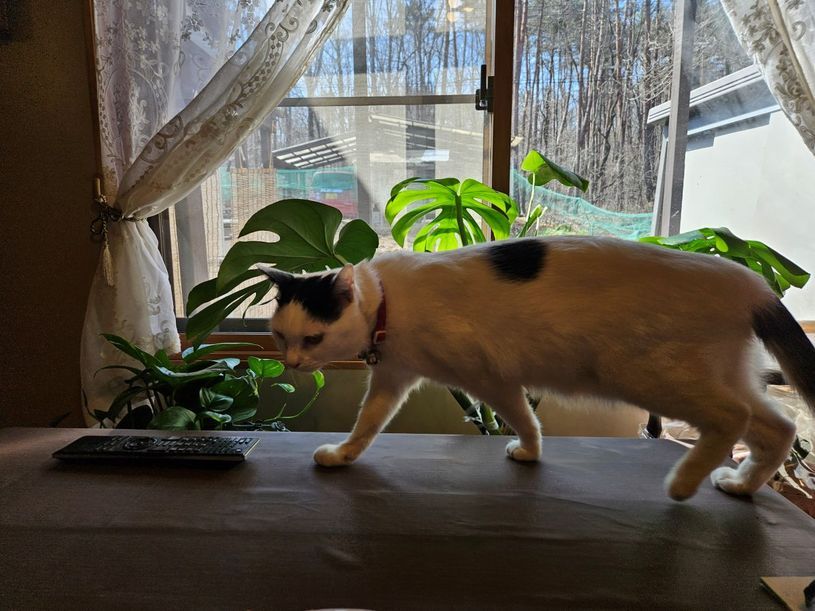 画像2