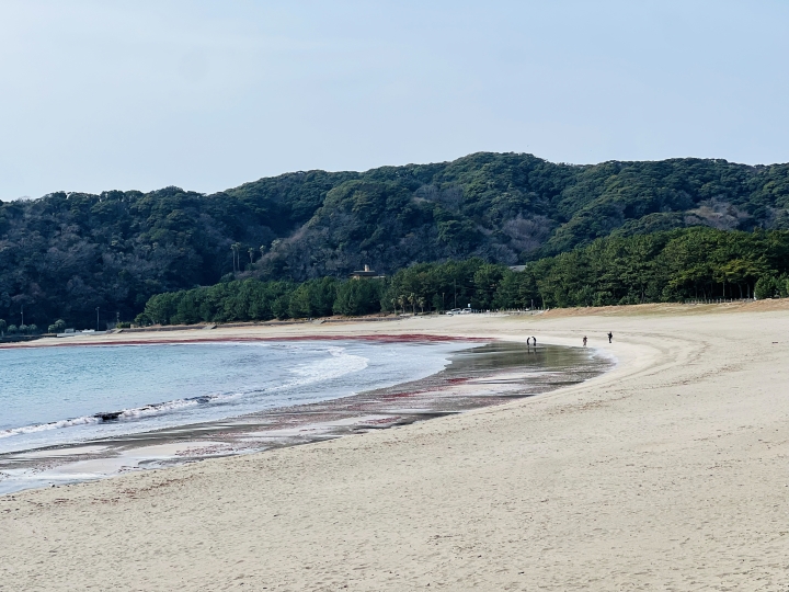 画像2