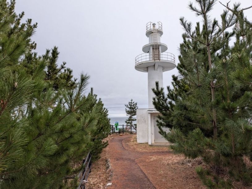 画像5