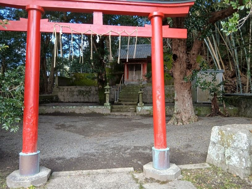 画像1