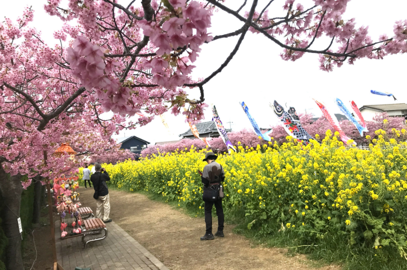 画像2