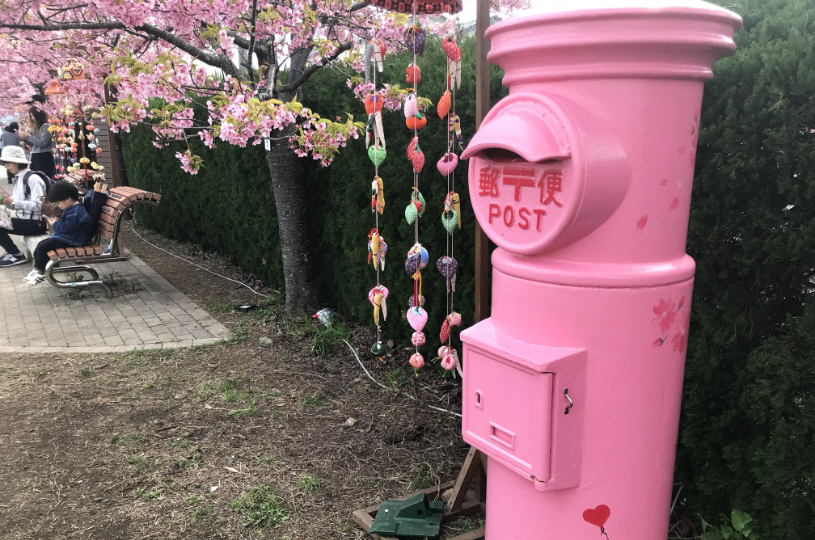 画像5