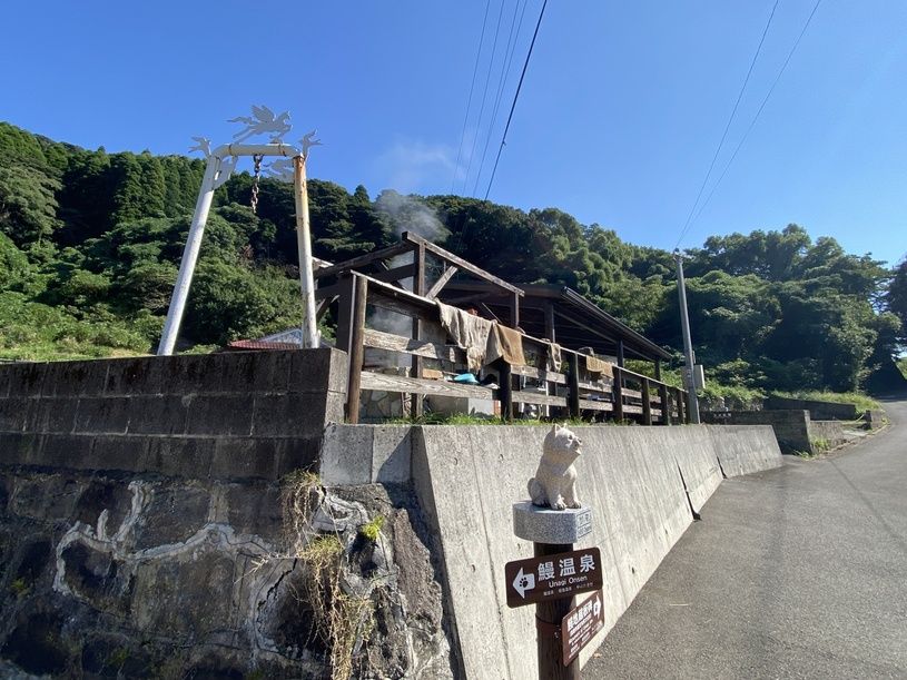 画像4