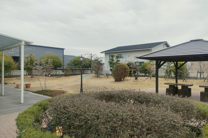 画像5
