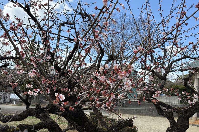 画像2