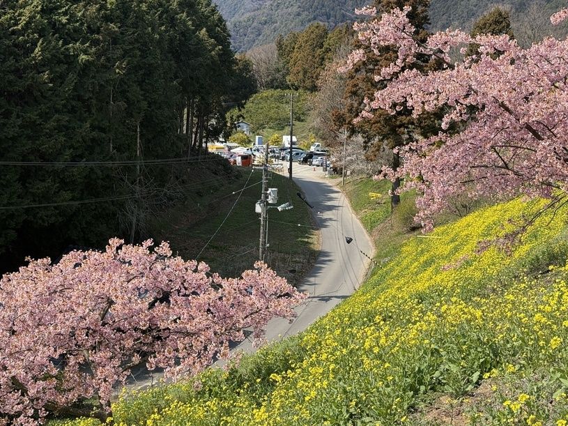 画像3