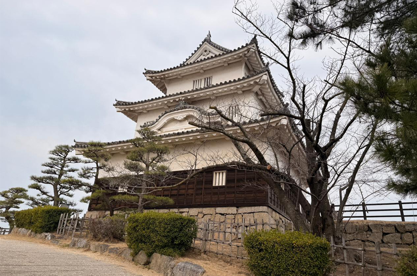 画像4