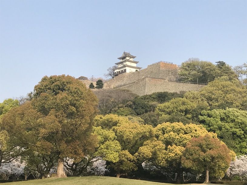 画像1