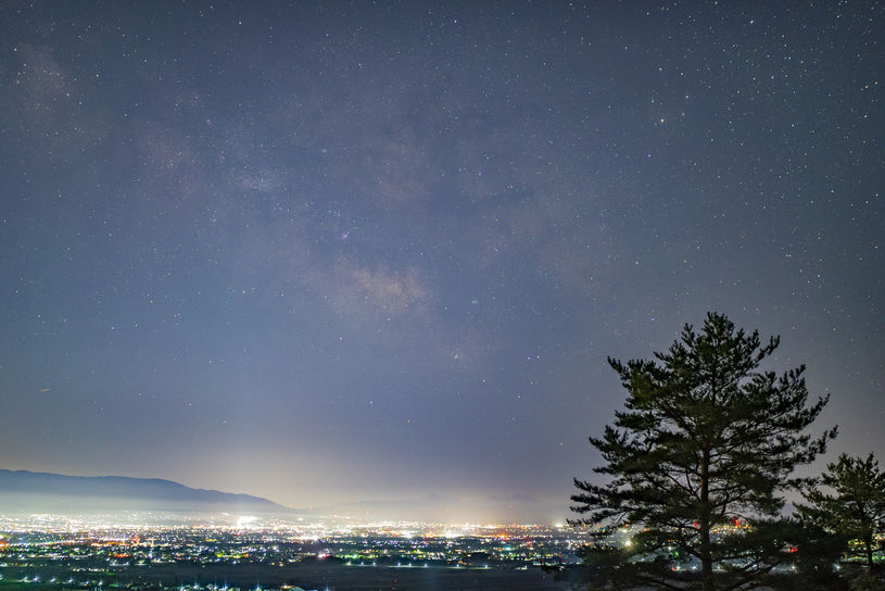 画像5