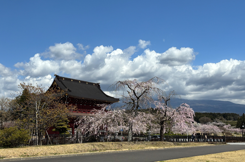 画像2