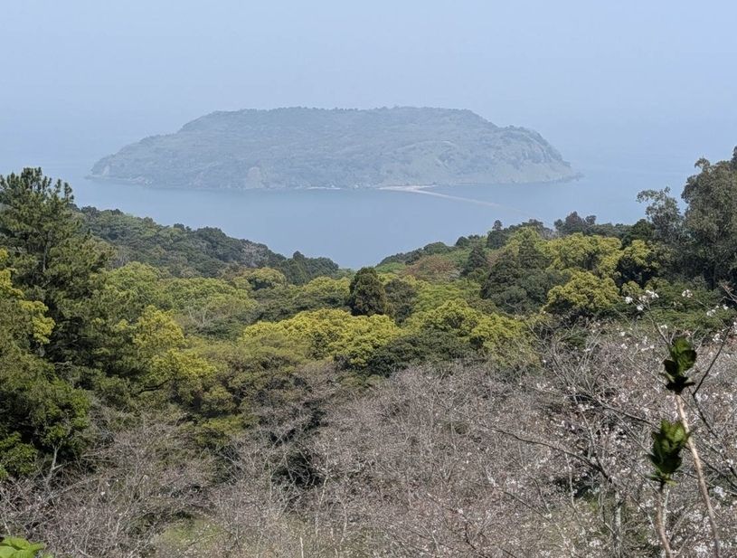 画像4
