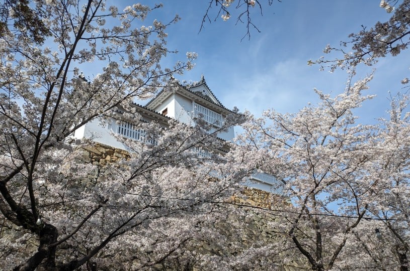 画像1